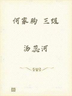 何家驹 三级